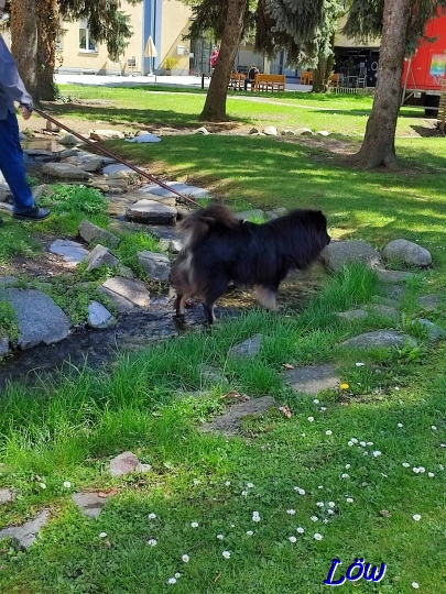 20.4.2025 - Kontrolle der KNEIPP Gradieranlage